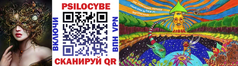 Псилоцибиновые грибы мухоморы  где купить наркотик  Звенигово 